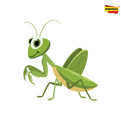 green grasshopper on a white background
