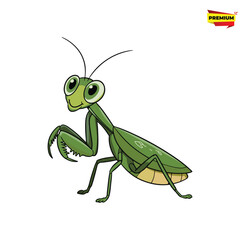 green grasshopper isolated on white