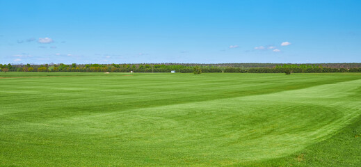 Green mowed field under blue sky with forest on horizon