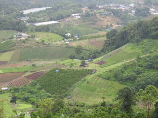 aerial view of a village