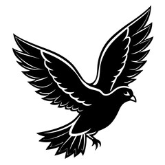 Fototapeta premium A majestic dove in flight with outstretched wings and detailed feathers silhouette