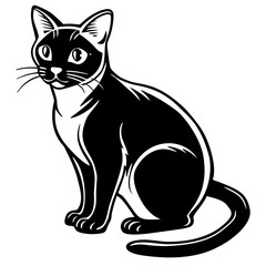 Fototapeta premium Elegant black and white cat sitting gracefully silhouette