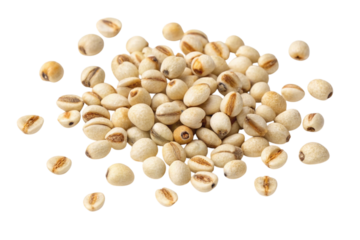 Pile of job s tears seeds scattered isolated on transparent background