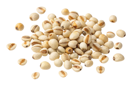 Pile of job s tears seeds scattered isolated on transparent background