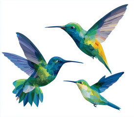 Fototapeta premium Three hummingbirds, vector illustration, flat design, white background