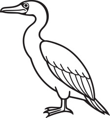 cormorant line art, black outline, vector and illustration, coloring book page line art drawing