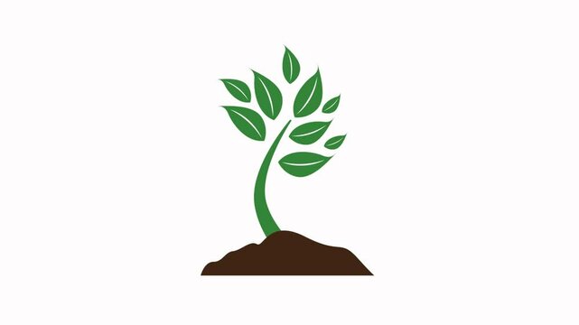 tree icon animation   simple flat