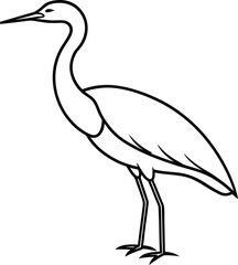Obraz premium A bittern bird line art vector illustration.
