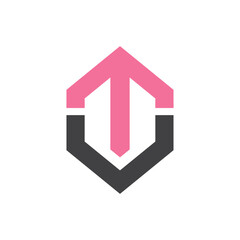 TU letter logo in hexagon shape