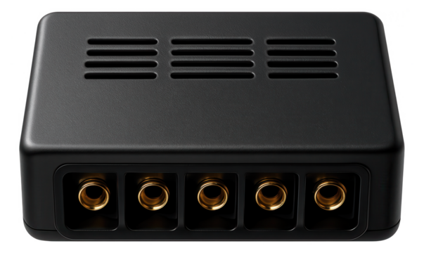 A varistor array module with multiple connection points, suitable for a home office's uninterruptible power supply to safeguard connected equipment.