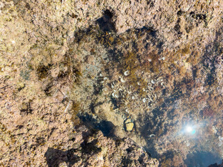 Tropical underwater view with fish and reef rocks in crystal clear shallow sea water, ideal scene for snorkeling, marine nature and travel background