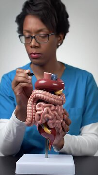 Black Female Doctor Points to Human Digestive System Model for Medical Explanation in Blue Scrubs and White Background