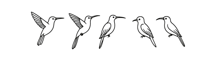 Obraz premium Birds, nature outline icon set. wildlife, avian symbols in line art collection