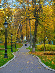 Person Walking on Winding Path in Autumn Park