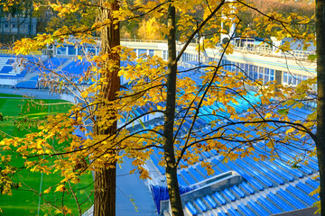 Sports Stadium with Blue Seats Viewed Through Autumn Trees