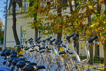 Row of Public Rental Bicycles in an Autumn City Park