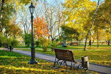 Sunny Autumn Park with Benches and Lampposts