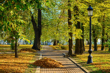 Winding Hillside Path in a Golden Autumn Park