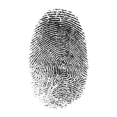 A closeup view of a black fingerprint, showcasing intricate ridge patterns against a pure transparent background