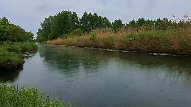 The tranquil sight of raindrops hitting the water of a peaceful canal in a natural landscape during an overcast day.