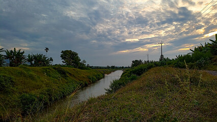 A beautiful morning view. The sun hadn't risen yet. The sky was slightly overcast. A beautiful view, overlooking rice paddies and a flowing river.