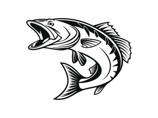 Clip art illustration of zander fish