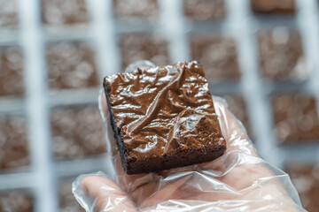 Cose-up gloved Hand Presenting Fuggy Brownie on the center from Tray with Blurred Background