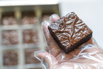 Hand in Clear Glove Supporting Brownie, Soft White Background