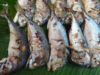 Fried mackerel fishes on the banana leaf.