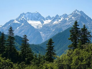 Obraz premium Snow-capped mountains with trees.