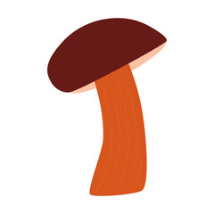 Boletus mushroom isolated element. Autumn forest harvesting food.