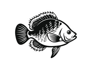 Bluegill fish vector art and illustration. Silhouette of bluegill fish vector art illustration