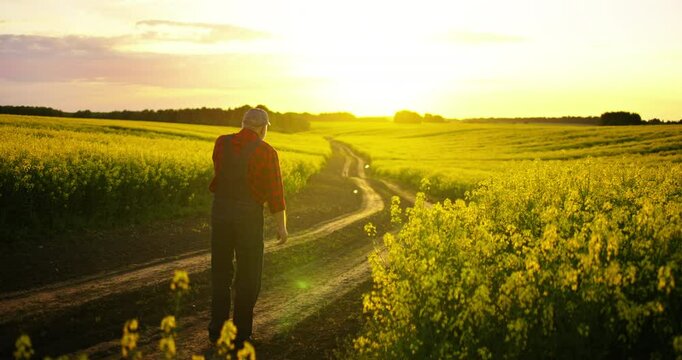 Villager Walking In Nature, Simple Rural Life, Farmer Walking In Picturesque Agricultural Fields
