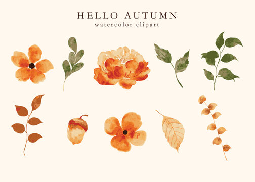 Floral set with watercolor hand drawn autumn fall flowers clipart decoration sticker illustration printable