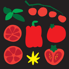 Collection of tomatoes isolated and basil on black background. vector illustration