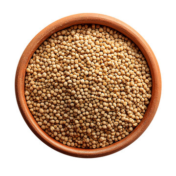 pearl millet grain whole in bowl also known in india as bajri,bajro,bajra,for indian gujarati food recipe dhebra,roti,rotla,khichdi,,cutout isolated on a white background