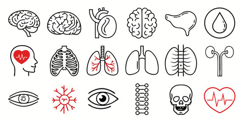 vector set of human body parts