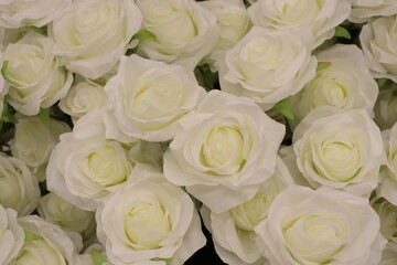 Beautiful Elegant White Roses Perfect for Various Floral Arrangements and Decorations