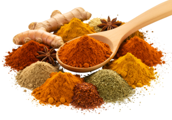 Pile of Spices Herb and Root for Seasoning Ingredient With Transparent BG