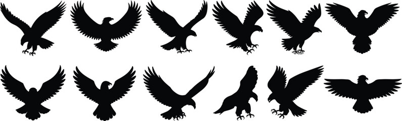 Eagle Silhouettes Collection, Flying Bird of Prey Vector, Majestic Wildlife Design, Black Graphic Clipart for Nature and Ornithology Projects