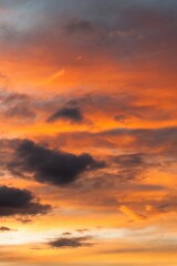 The sky is orange and cloudy. Vertical background, wallpapers.