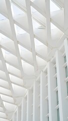 Fototapeta premium White architectural design minimalist interior building structure modern design art