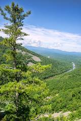 Obraz premium Sikhote Alin mountains with deciduous forests and rocky scree on the tops of mountains where trees are not fixed - barrens, river gorge, Korean pine tree at front. Eastern Siberia