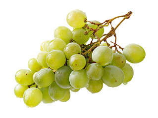 Fresh green grapes, still on the vine with water droplets, perfect for healthy food, fruit, and natural ingredient themes, showcasing sweet and juicy produce isolated on a clean white background