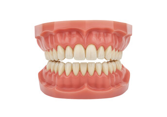 Obraz premium Realistic 3D Rendering of Denture for Dental Healthcare Isolated