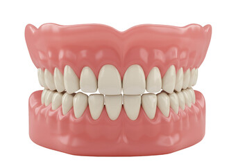 Obraz premium Realistic 3D Rendering of Complete Set of False Teeth Illustration