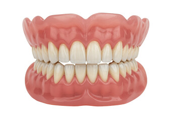 Obraz premium Realistic Denture Teeth For Oral Healthcare On Transparent Background