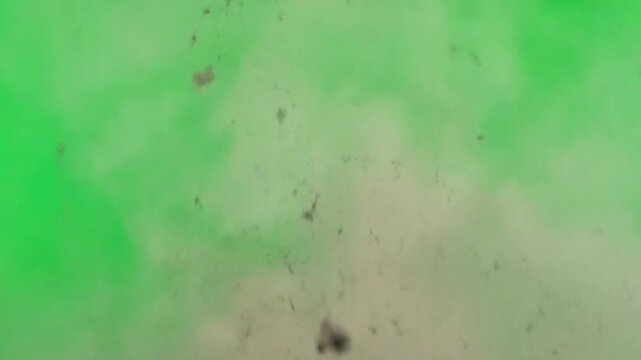 Realistic dust particles rising and dispersing from impact point with natural motion against solid green screen background, ideal for cinematic and action visual effects.