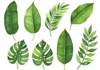 Tropical Leaves Illustration Watercolor Green Foliage Botanical Jungle Plants