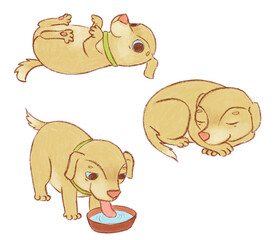 Cute puppies, baby dogs. Hand drawn little puppy character in different poses.